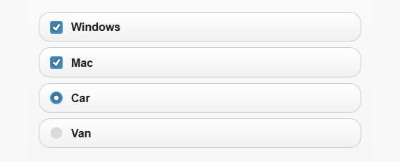 Checkboxes & Radio Button