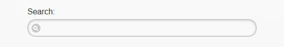 Search Input Field